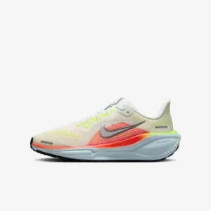 Nike Air Zoom Pegasus 41